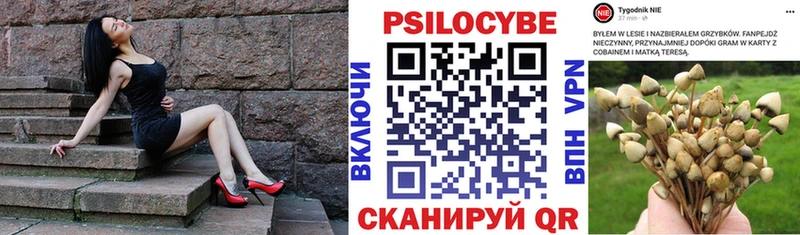Псилоцибиновые грибы Magic Shrooms Малоярославец
