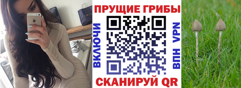 Псилоцибиновые грибы ЛСД  Купить где  Малоярославец 